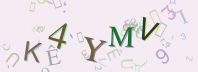 This is a captcha-picture. It is used to prevent mass-access by robots. (see: www.captcha.net)